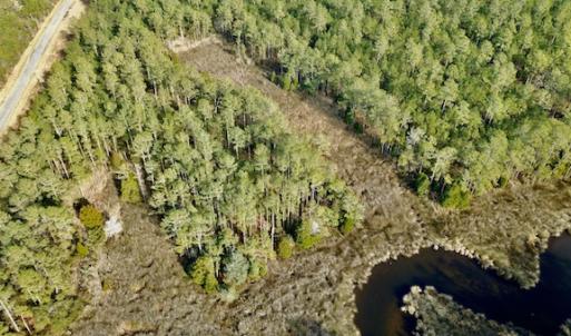 Photo #10 of Lot #28 Sandy Point, Scranton, NC 19.0 acres