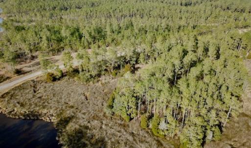 Photo #17 of Lot #28 Sandy Point, Scranton, NC 19.0 acres