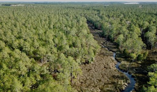 Photo #18 of Lot #28 Sandy Point, Scranton, NC 19.0 acres
