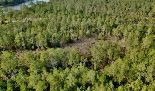 Photo #20 of Lot #28 Sandy Point, Scranton, NC 19.0 acres
