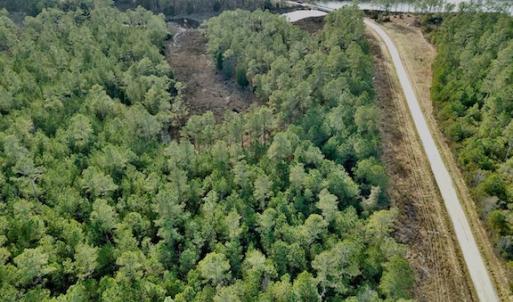 Photo #26 of Lot #28 Sandy Point, Scranton, NC 19.0 acres