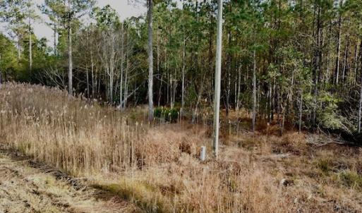 Photo #28 of Lot #28 Sandy Point, Scranton, NC 19.0 acres