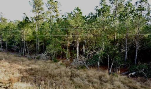 Photo #29 of Lot #28 Sandy Point, Scranton, NC 19.0 acres