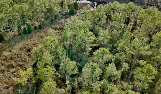 Photo #30 of Lot #28 Sandy Point, Scranton, NC 19.0 acres