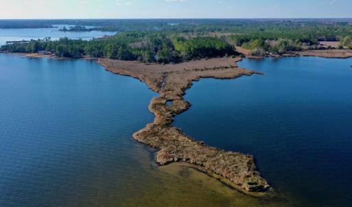 Photo #7 of SOLD property in 1270 Swan Point Road, Bayboro, NC 6.7 acres