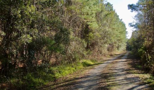 Photo #10 of SOLD property in 1270 Swan Point Road, Bayboro, NC 6.7 acres