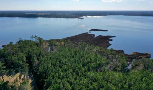 Photo #2 of SOLD property in 1270 Swan Point Road, Bayboro, NC 18.9 acres