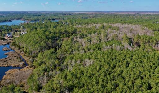 Photo #4 of SOLD property in 1270 Swan Point Road, Bayboro, NC 18.9 acres