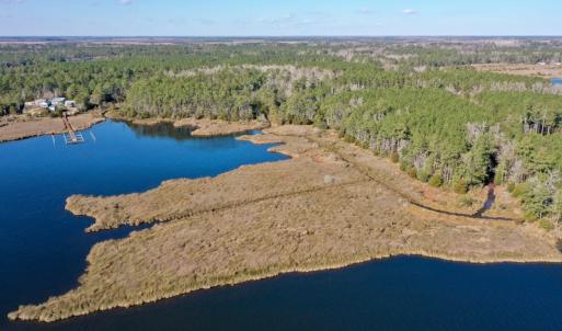 Photo #6 of SOLD property in 1270 Swan Point Road, Bayboro, NC 18.9 acres