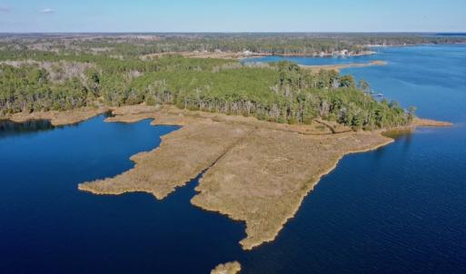 Photo #7 of SOLD property in 1270 Swan Point Road, Bayboro, NC 18.9 acres