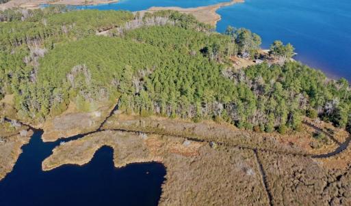 Photo #10 of SOLD property in 1270 Swan Point Road, Bayboro, NC 18.9 acres