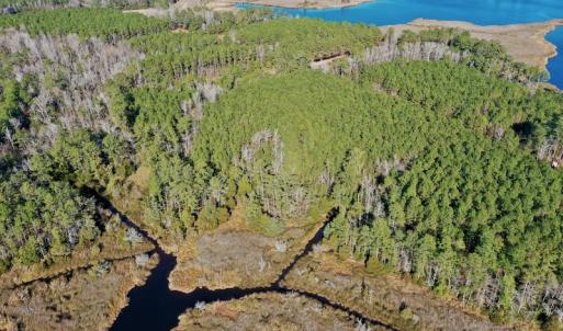 Photo #11 of SOLD property in 1270 Swan Point Road, Bayboro, NC 18.9 acres