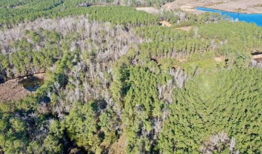 Photo #12 of SOLD property in 1270 Swan Point Road, Bayboro, NC 18.9 acres