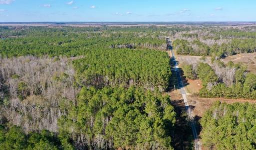 Photo #14 of SOLD property in 1270 Swan Point Road, Bayboro, NC 18.9 acres
