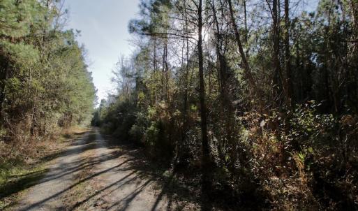 Photo #16 of SOLD property in 1270 Swan Point Road, Bayboro, NC 18.9 acres