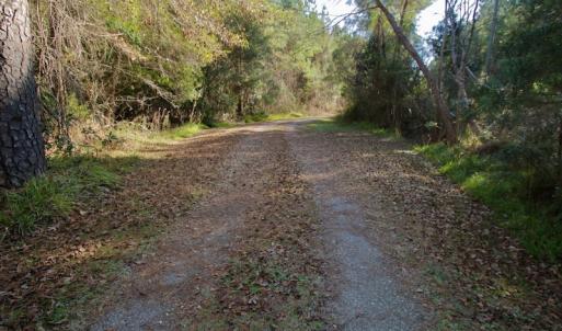 Photo #19 of SOLD property in 1270 Swan Point Road, Bayboro, NC 18.9 acres