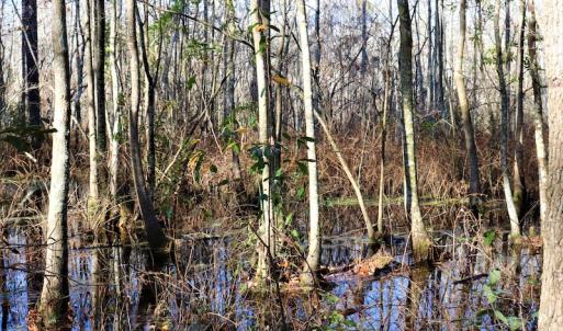 Photo #11 of Off Yarborough Road, Parkton, NC 37.9 acres