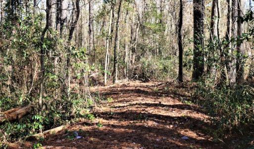 Photo #12 of Off Yarborough Road, Parkton, NC 37.9 acres