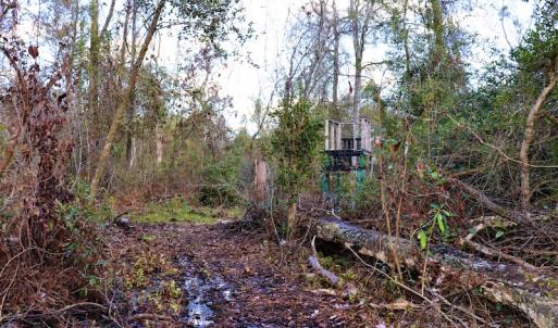 Photo #16 of Off Yarborough Road, Parkton, NC 37.9 acres