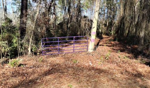 Photo #5 of Off Yarborough Road, Parkton, NC 37.9 acres