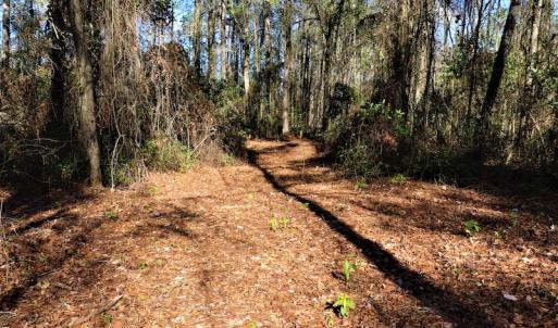 Photo #6 of Off Yarborough Road, Parkton, NC 37.9 acres