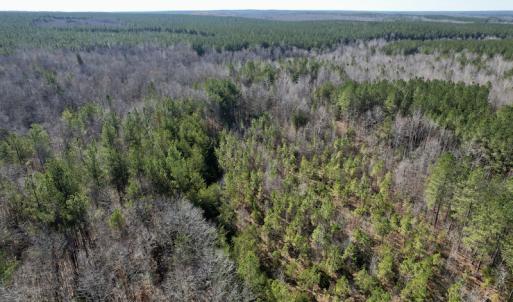 Photo #12 of SOLD property in Off Shelburne Lane, Victoria, VA 30.3 acres