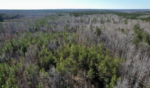 Photo #13 of SOLD property in Off Shelburne Lane, Victoria, VA 30.3 acres