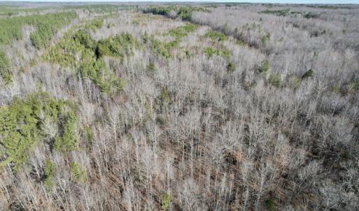 Photo #14 of SOLD property in Off Shelburne Lane, Victoria, VA 30.3 acres