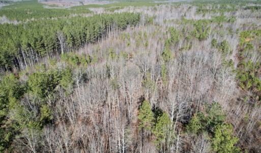Photo #15 of SOLD property in Off Shelburne Lane, Victoria, VA 30.3 acres