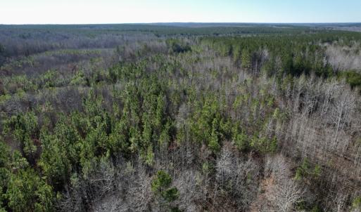 Photo #2 of SOLD property in Off Shelburne Lane, Victoria, VA 30.3 acres