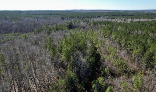 Photo #16 of SOLD property in Off Shelburne Lane, Victoria, VA 30.3 acres