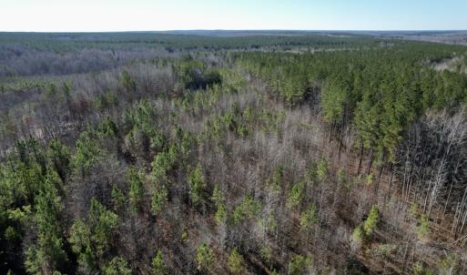 Photo #17 of SOLD property in Off Shelburne Lane, Victoria, VA 30.3 acres