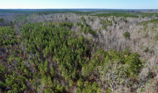 Photo #18 of SOLD property in Off Shelburne Lane, Victoria, VA 30.3 acres