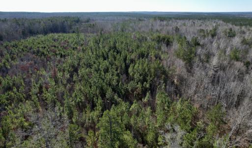 Photo #19 of SOLD property in Off Shelburne Lane, Victoria, VA 30.3 acres
