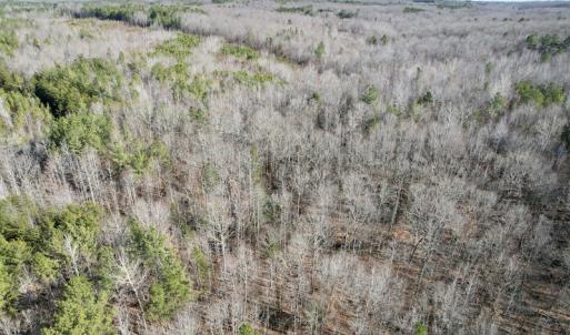 Photo #20 of SOLD property in Off Shelburne Lane, Victoria, VA 30.3 acres