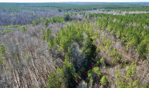 Photo #21 of SOLD property in Off Shelburne Lane, Victoria, VA 30.3 acres