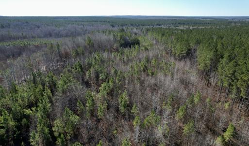 Photo #22 of SOLD property in Off Shelburne Lane, Victoria, VA 30.3 acres