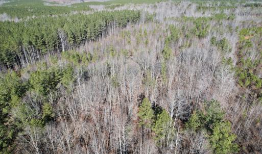 Photo #3 of SOLD property in Off Shelburne Lane, Victoria, VA 30.3 acres