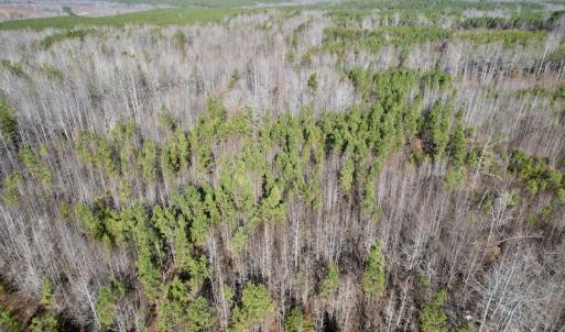 Photo #23 of SOLD property in Off Shelburne Lane, Victoria, VA 30.3 acres
