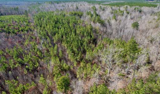 Photo #24 of SOLD property in Off Shelburne Lane, Victoria, VA 30.3 acres
