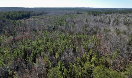 Photo #25 of SOLD property in Off Shelburne Lane, Victoria, VA 30.3 acres