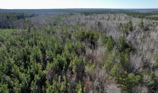 Photo #4 of SOLD property in Off Shelburne Lane, Victoria, VA 30.3 acres