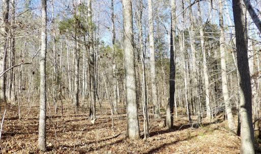 Photo #26 of SOLD property in Off Shelburne Lane, Victoria, VA 30.3 acres