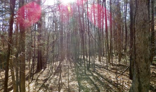 Photo #31 of SOLD property in Off Shelburne Lane, Victoria, VA 30.3 acres