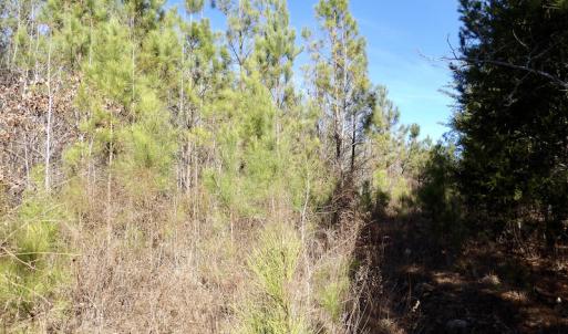 Photo #33 of SOLD property in Off Shelburne Lane, Victoria, VA 30.3 acres