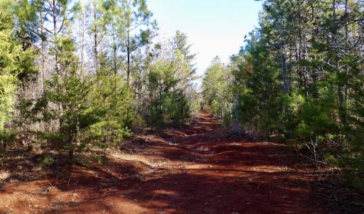 Photo #34 of SOLD property in Off Shelburne Lane, Victoria, VA 30.3 acres