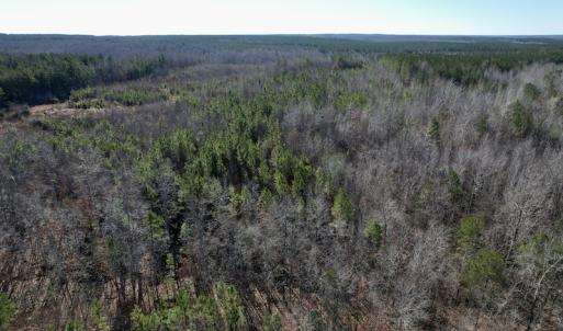 Photo #5 of SOLD property in Off Shelburne Lane, Victoria, VA 30.3 acres