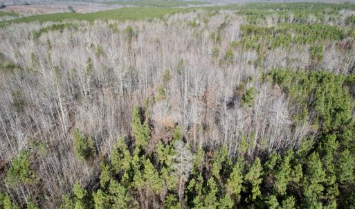Photo #6 of SOLD property in Off Shelburne Lane, Victoria, VA 30.3 acres