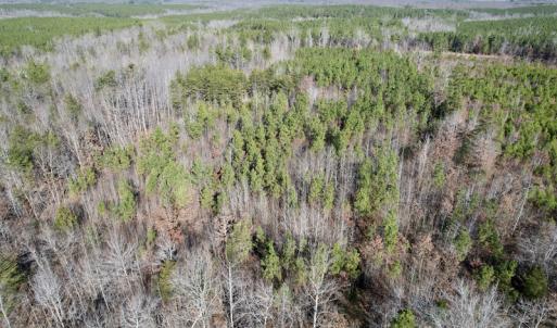 Photo #7 of SOLD property in Off Shelburne Lane, Victoria, VA 30.3 acres