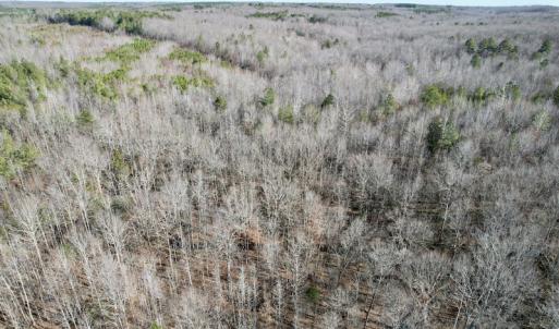 Photo #8 of SOLD property in Off Shelburne Lane, Victoria, VA 30.3 acres